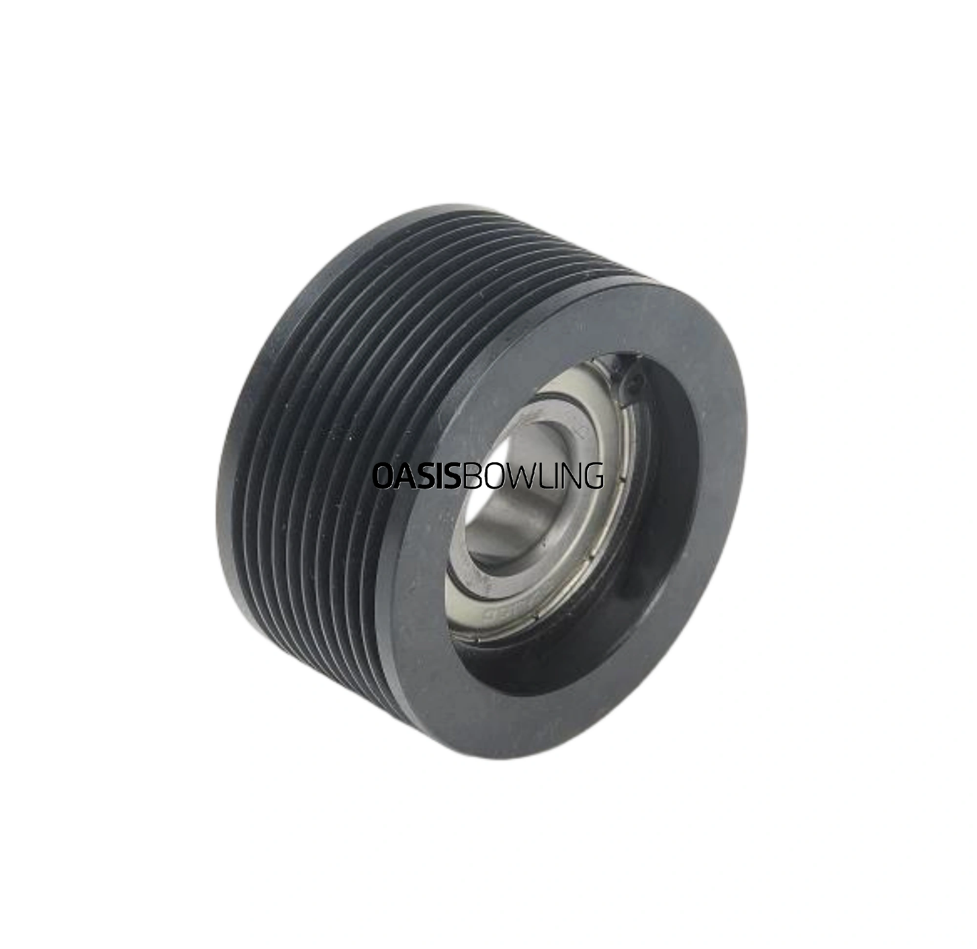 250001134 Pulley Bearing Asm